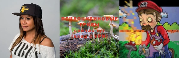 прущие грибы Богородицк