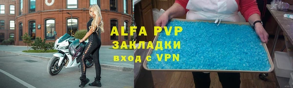 прущие грибы Богородицк
