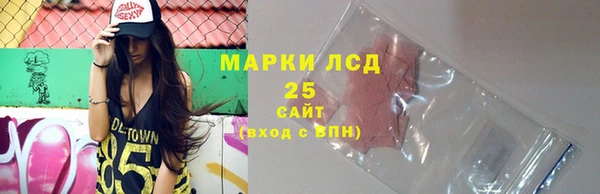 прущие грибы Богородицк