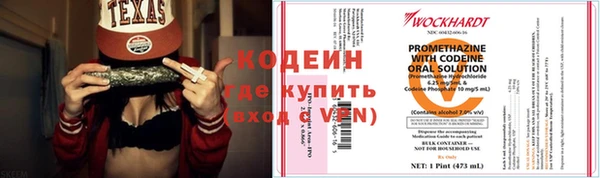прущие грибы Богородицк