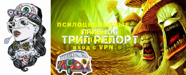 стаф Богородск