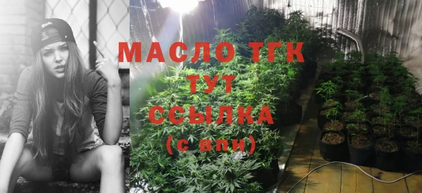 прущие грибы Богородицк