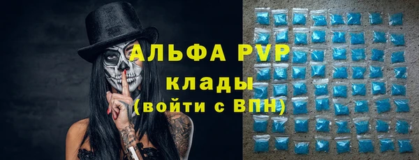 стаф Богородск