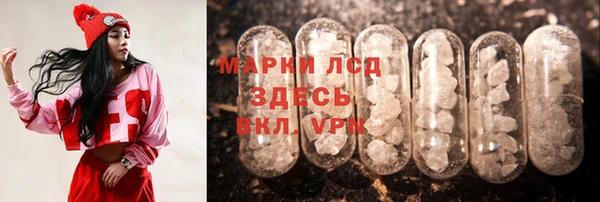 стаф Богородск