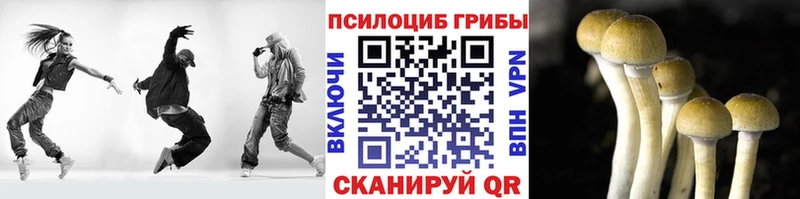 Псилоцибиновые грибы MAGIC MUSHROOMS  Иркутск 